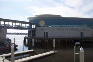 Half Moon Cruise Terminal