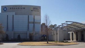 VA Aquarium